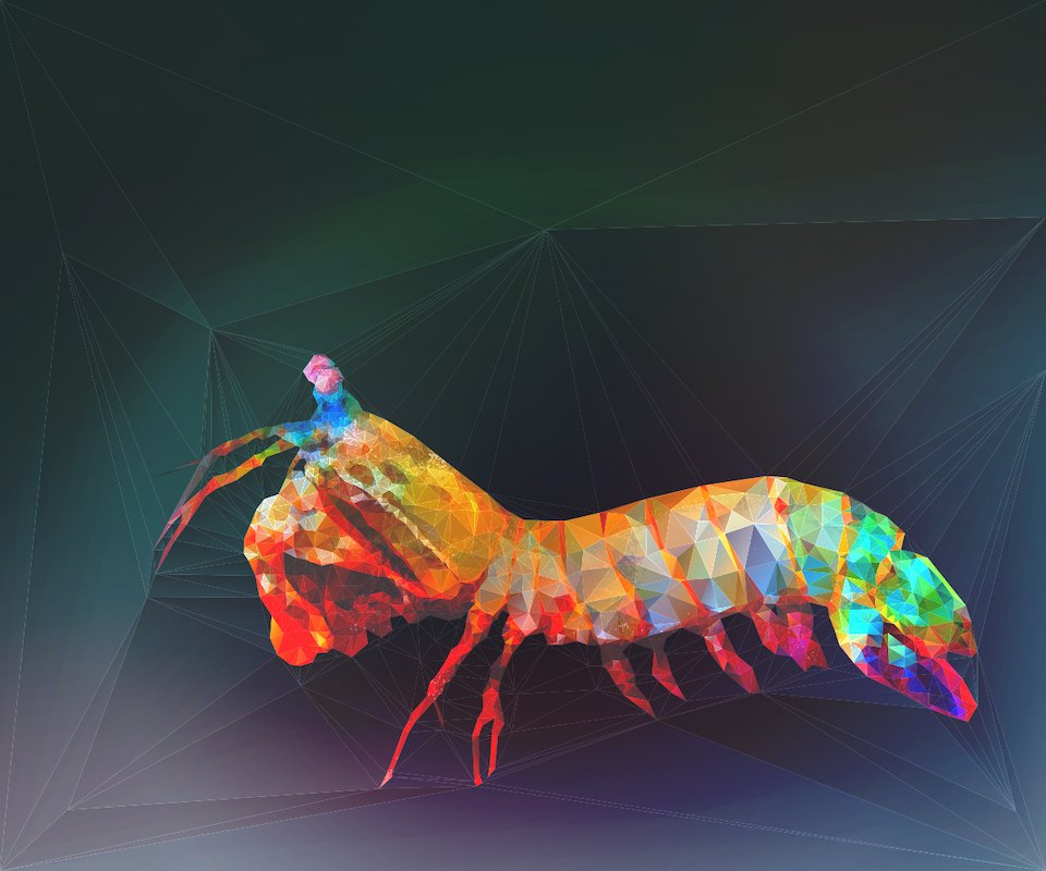 peacock mantis shrimp low poly art