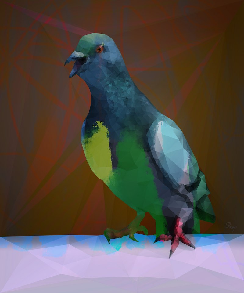Pigeon low poly art with grunge overlay